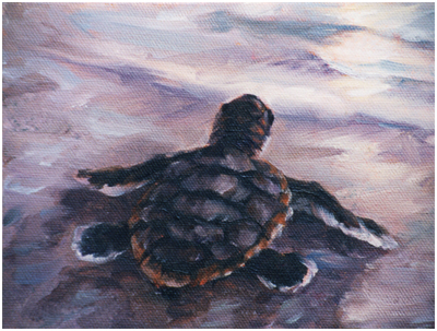 Turtle