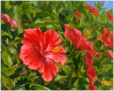 Red Hibiscus